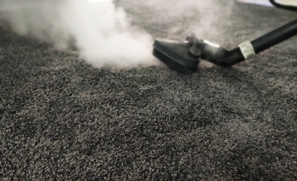 limpiar alfombras con vapor en calpe
