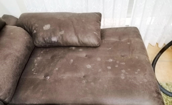 limpieza sofa cuero antes 1